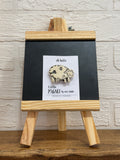 Sheep Magnet