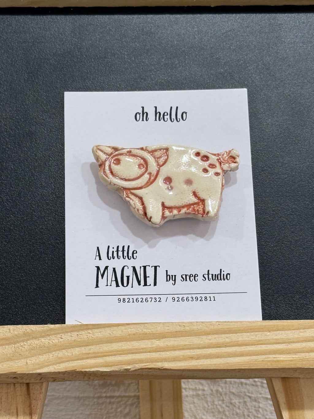 Piggy Magnet