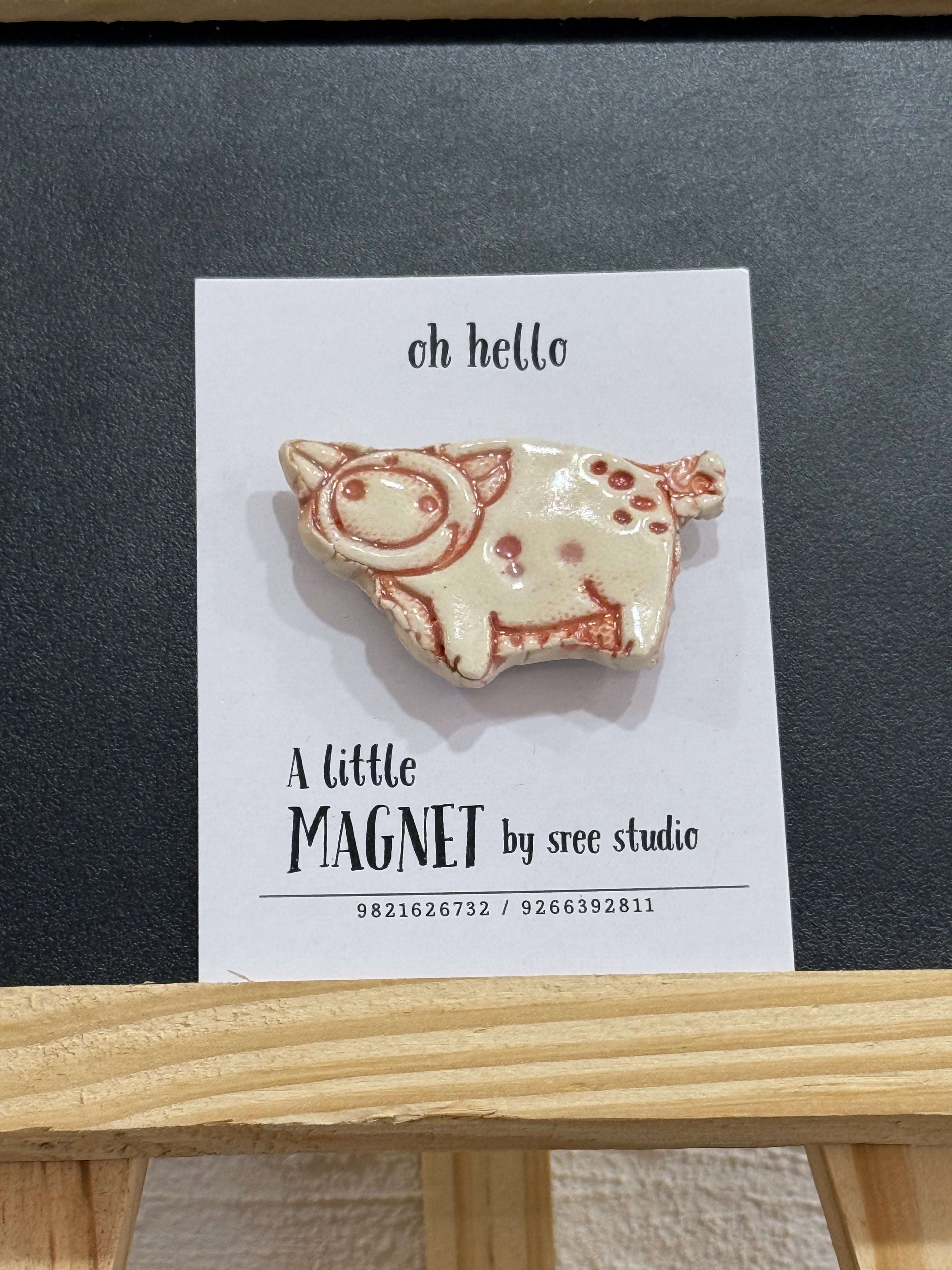 Piggy Magnet