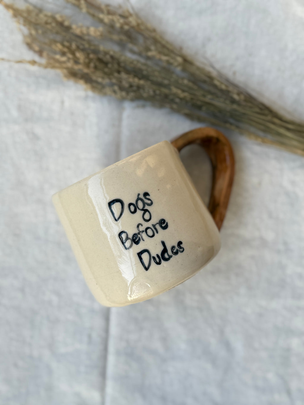 Dog before Dudes Mug